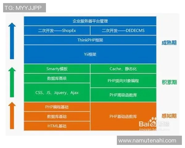 全方位自由泳技巧提升课程 从入门到精通的系统训练指南
