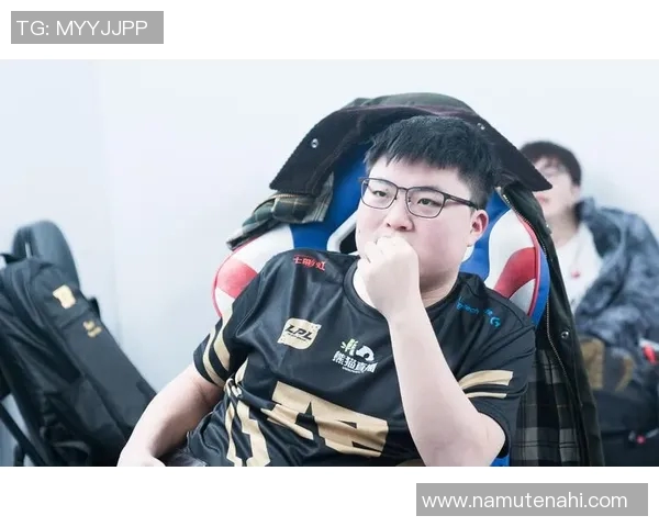 深入分析RNG战队进攻策略与战术布局的全景解读