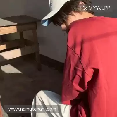 韶诚洁